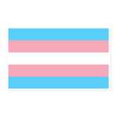Transgender Pride Flag Bubble-Free Stickers